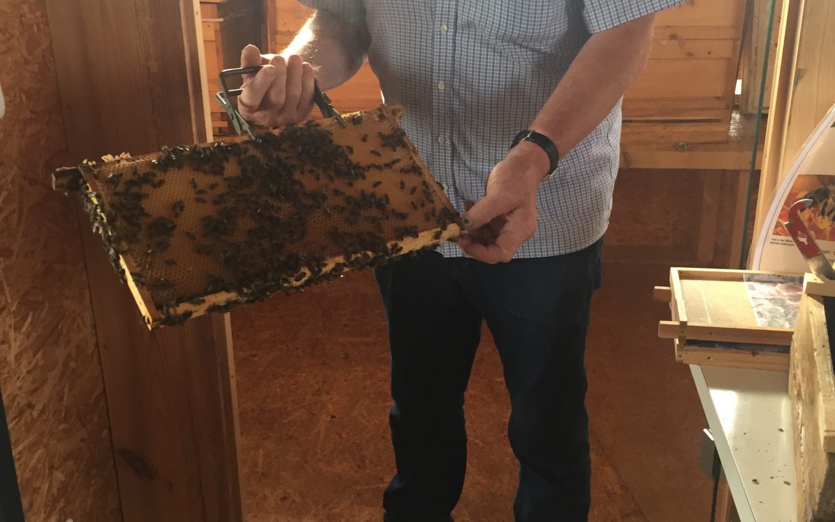 Wandertag der 6. Klassen: Besuch des Bienenhauses in Mainburg