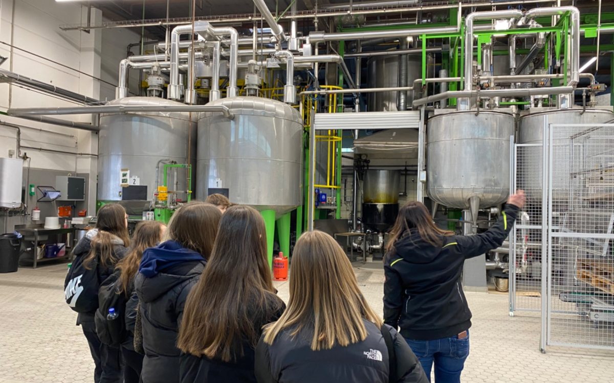 Tag des Handwerks 2025