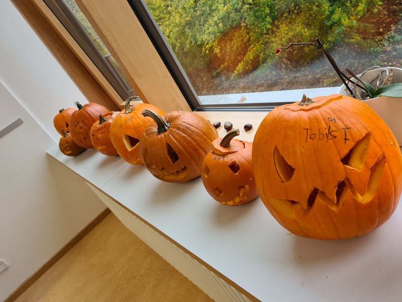 Kürbisschnitzen mit den Tutoren